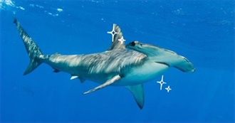 Cae&#39;s Top 50 Favorite Movies