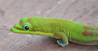 MSD&#39;s Last 100 Books Written by Men