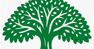 Soilsaga Naturals, Every Root Has a Story