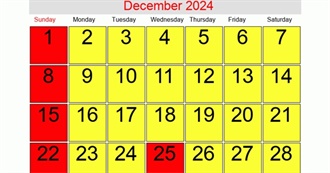 Movies That Weird Paul Saw in December 2024