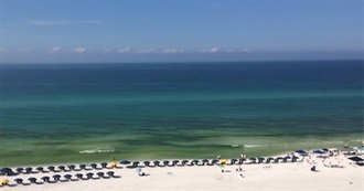 Best TV Shows of the Year