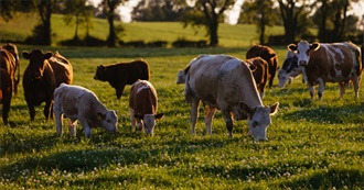 Hopeful TBR 2023/2024