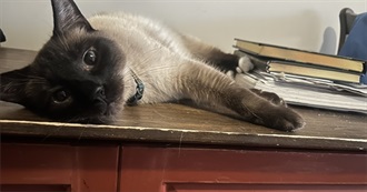 Books Marissa Hopes to Read in 2026