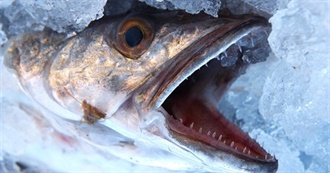 What Ray Ate - Day 692