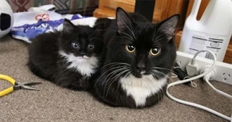 Toby&#39;s Top 100 Movies