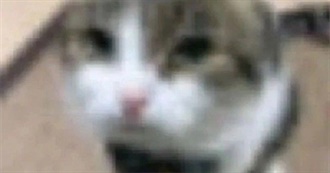 Some Movies I&#39;ve Seen :0