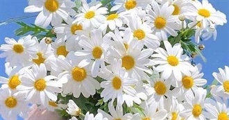 Leah&#39;s Romance Movies