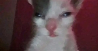 Games Ravioliboy Has Played