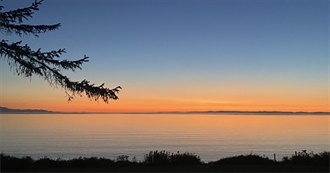 Matho&#39;s Current Loved Albums