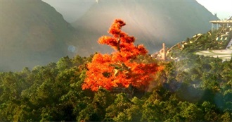 Zey&#39;s Favorite Movies