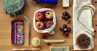 How to Live an Eco-Friendly Life