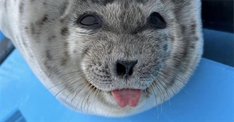 Camille&#39;s 100 Books