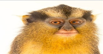 Howwhy&#39;s Top 100 Films