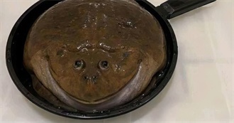 Not Tzimisce Videogames