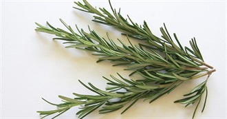 What Ray Ate - Day 917