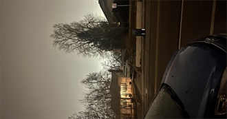 Terracottahearted&#39;s Film List