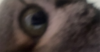 Ham&#39;s 100 Fundamental Movies