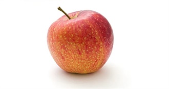 What Ray Ate - Day 774