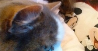 Beth&#39;s Favourite Children&#39;s Books