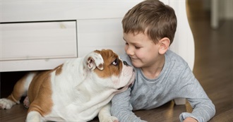 Best Dogs for Kids