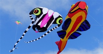 20 Films From Our Mubi Playlist: Starting W/ a Turkish Film