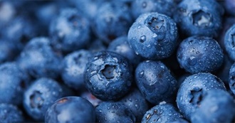 Blueberries!