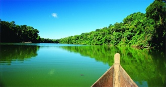 Movies You Absolutely Should See!