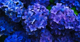 Modern Library's the Best of the World's Best Books