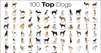 Top 100 Best Dog Breeds