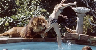 March 2025 Movies New to Ann