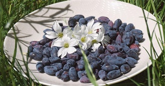 Blue Wanna Try Foods