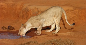 Nature Wonders JC Has Been To