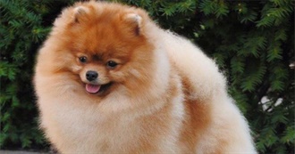 Movies Unspecified Listmaker Likes