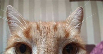 Ezra&#39;s Top Games