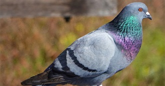 Kay&#39;s Fav Classical Pieces