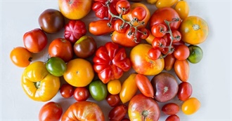 Everything SM Ate Today - Part 17