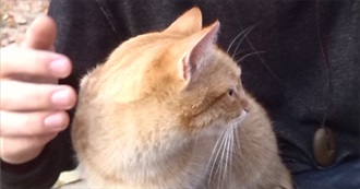 Movies Patrick Must See