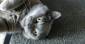 Mes 50 Films Coup De Coeur