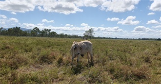 Winger&#39;s Book Club
