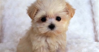 What Foods Do You Hate?