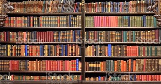 A Diverse Look at Literature