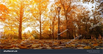 Randy M.&#39;S Books Finished in November Over 25 Years