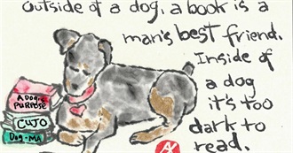 New York Public Library Staff Picks 2023: Adult Books