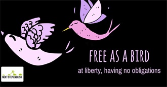 Sayings About Animals That Relate to People