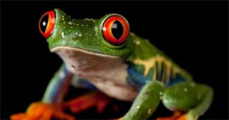 Every Movie Quinn Willett Has Ever Seen