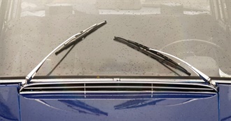 Items Newly Purchased 28