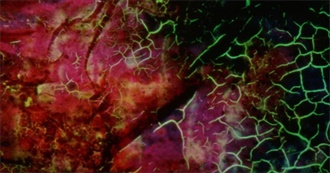 Stan Brakhage: Volumes One and Two
