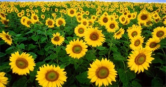 Cities, Towns, and Places in the News: Have You Been There?