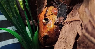 How Many Niche Movies Have You Also Watched?