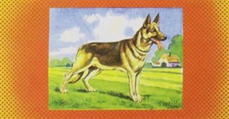 Uli Cain&#39;s Favorite Albums